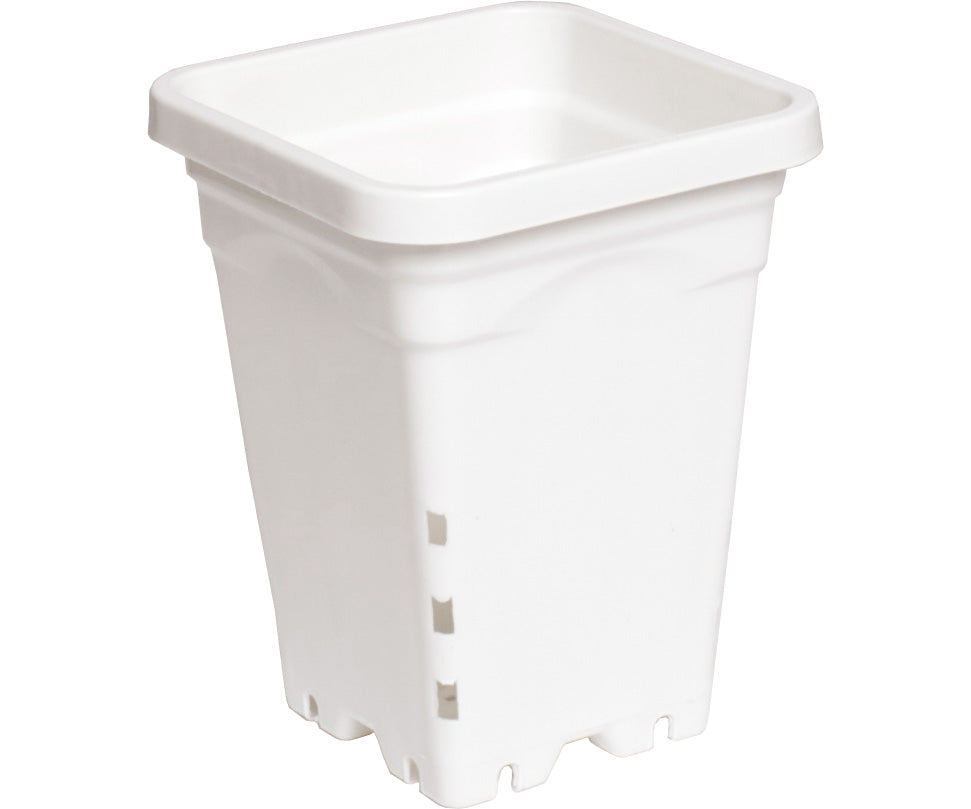 Active Aqua 5" x 7" Square White Pot