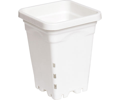 Active Aqua 5" x 7" Square White Pot