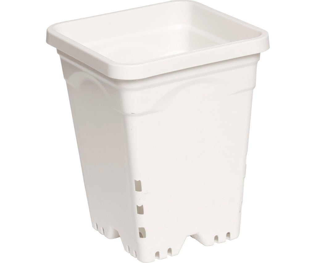 Active Aqua 7" x 9" Square White Pot