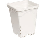 Active Aqua 7" x 9" Square White Pot
