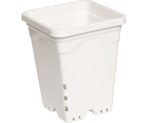 Active Aqua 7" x 9" Square White Pot